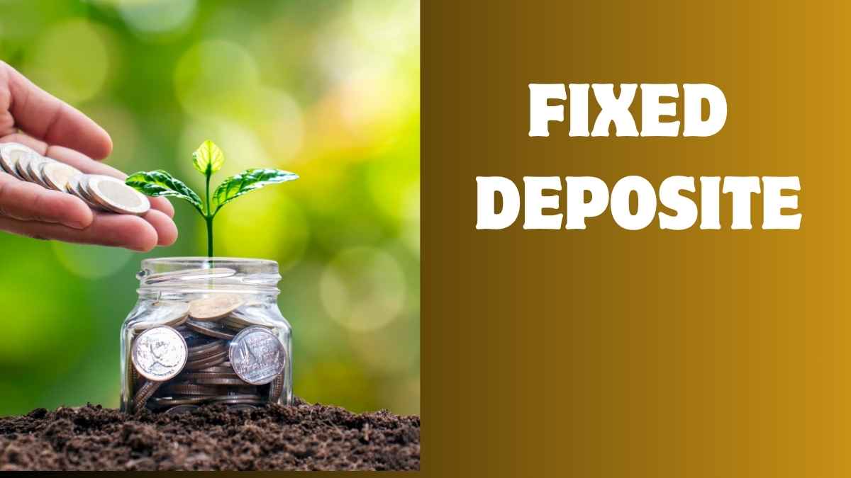 Senior Citizens FD Rates: These Banks Are Offering Up to 8 Point 5 percent Interest in September